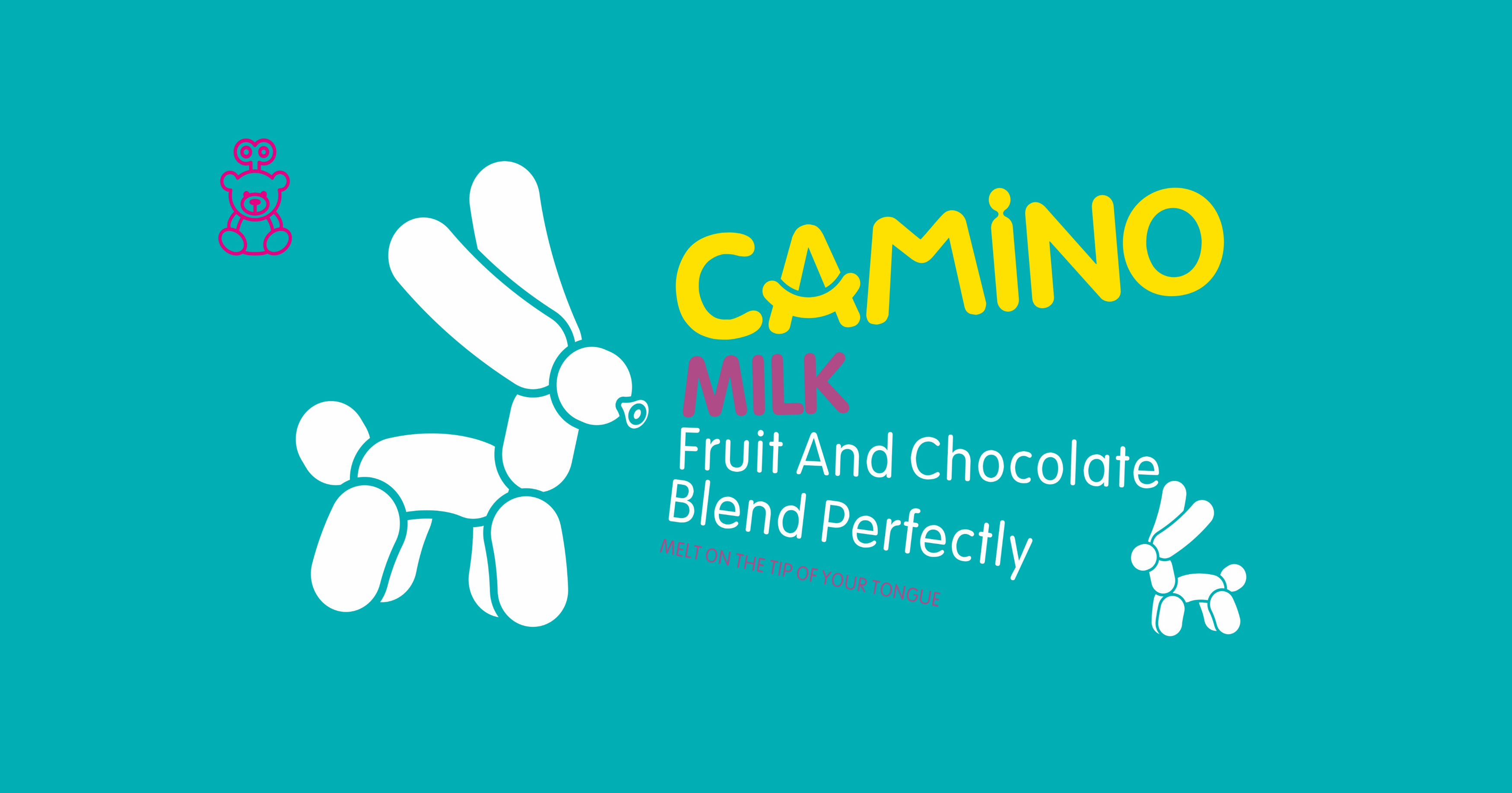 CAMINO Fruit Chocolates